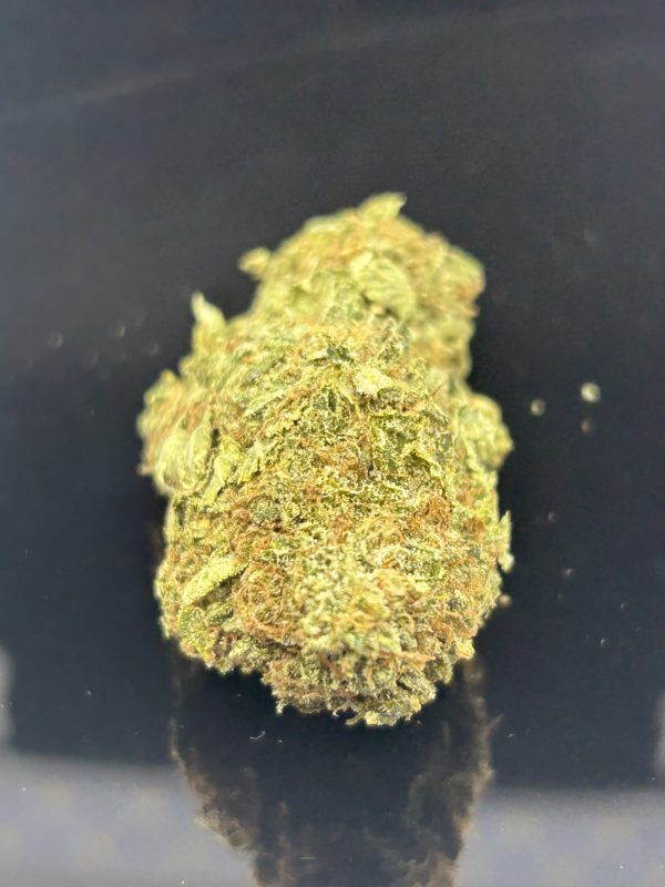 Sensi Star