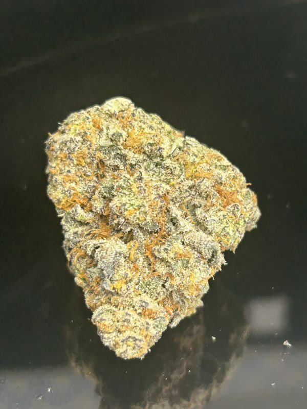 Purple Queen