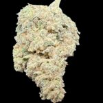 Northwest Pineapple - OZ