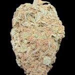 Blue Diesel - OZ