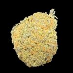Headband - OZ