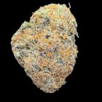 * Special * Grape Gorilla ++++ - 1/4