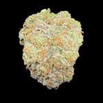 Grape Gorilla - 1/4
