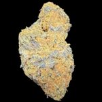Diesel Berry - OZ