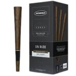 Blunt Cone Pre Roll - 1 God bud