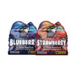 Mushroom Gummies 4g - Strawberry